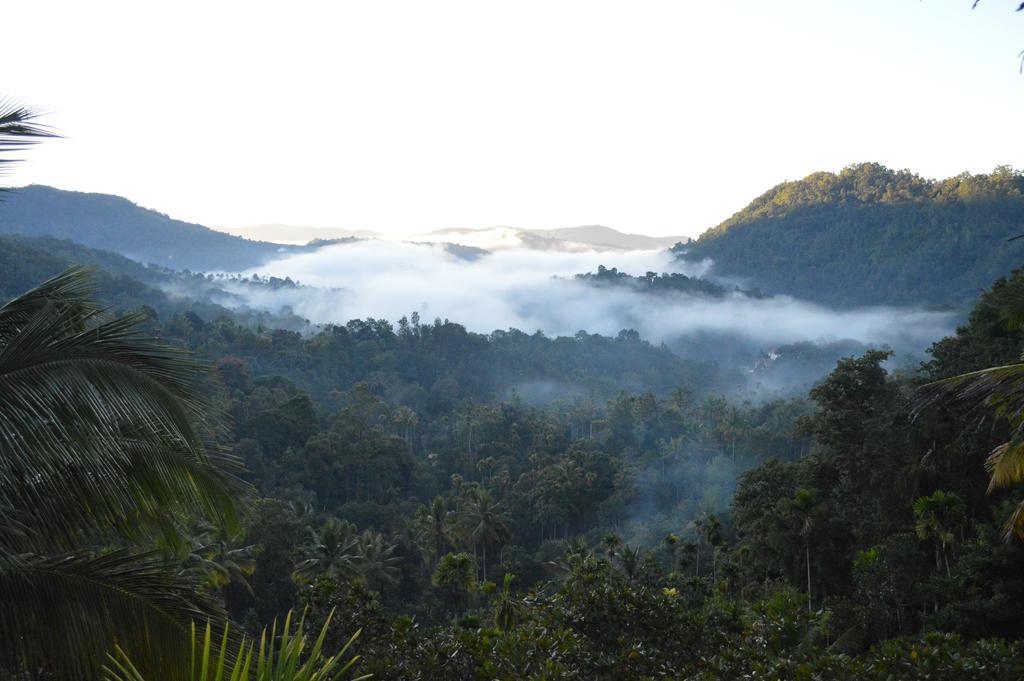 The Shade Apartment Munnar Bagian luar foto