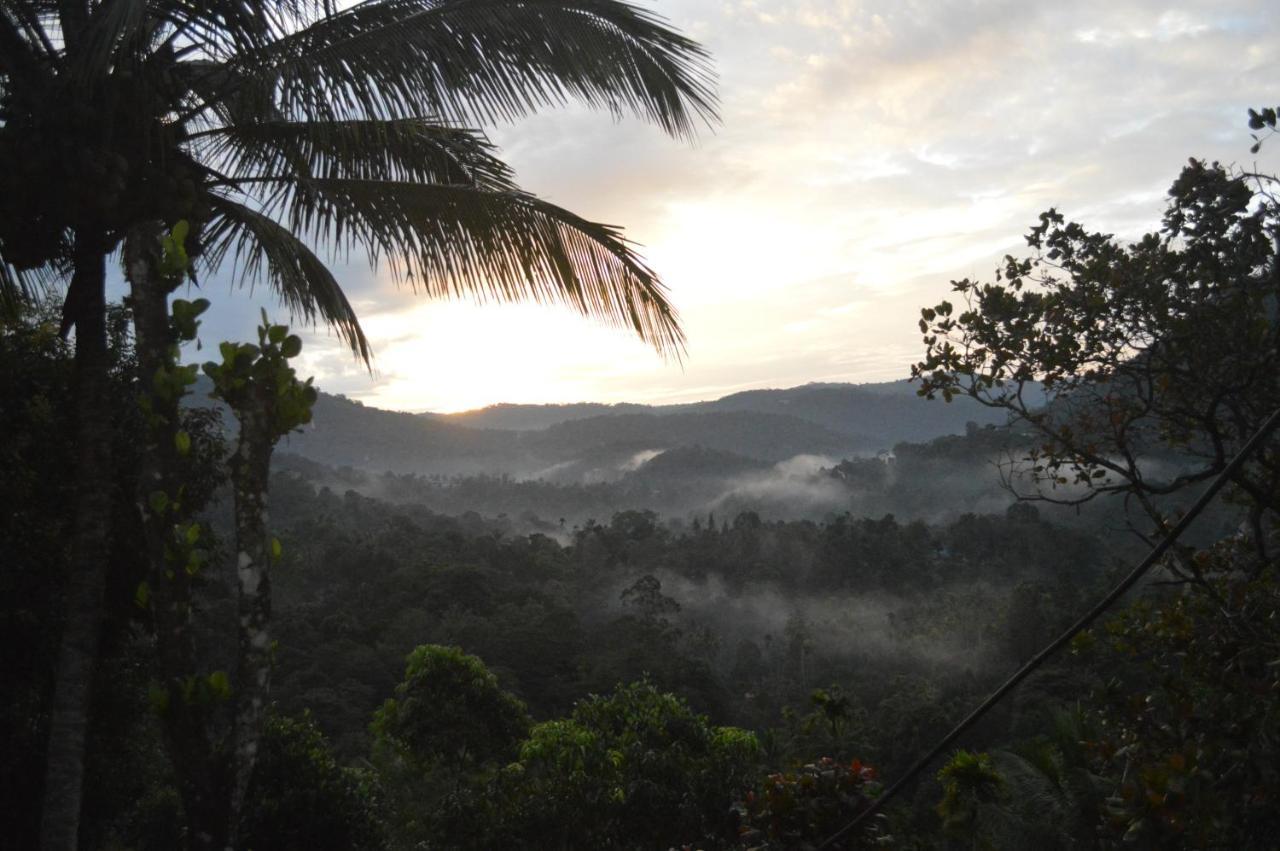 The Shade Apartment Munnar Bagian luar foto